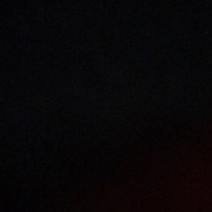 Meet your Posher, Rosa